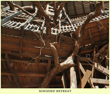 schizoid retreat